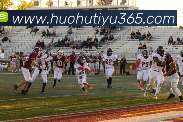 多媒体互动体验